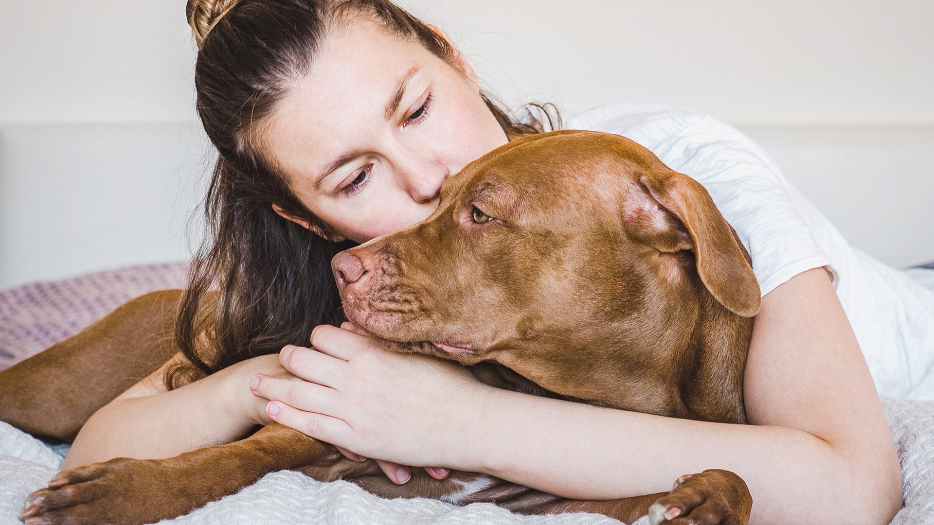 The Science of Pet Grooming: How It Impacts Your Pet’s Physical and Mental Health!
